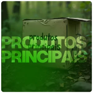 Principais